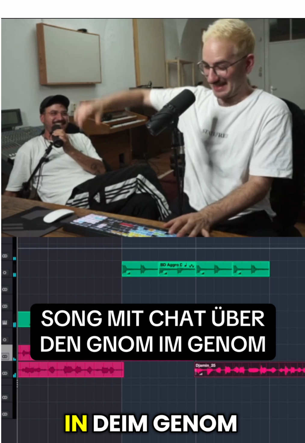 In deim Genom da tut ein Gnom wohn. #zorschundkurt #twitchhighlights #streamer #song 