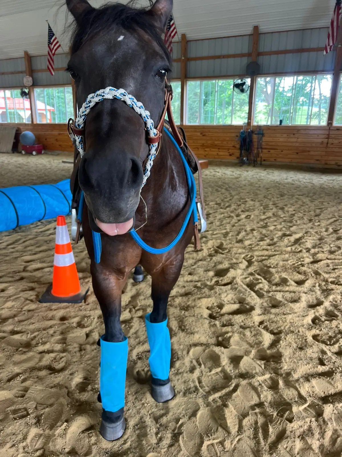 I had a scare in the last week, I was afraid I was losing this best girl. But I didn’t. She’s still here with me and she is the best horse ever. Thank God! Thank you, God!! Thanks to my friends who are praying with me! You will see more of Minnie! She’s my champion at everything! I take her for granted, but no longer! She’s amazing.