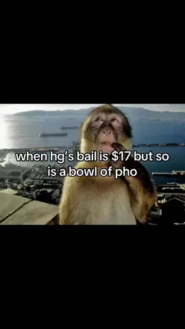 #pho 