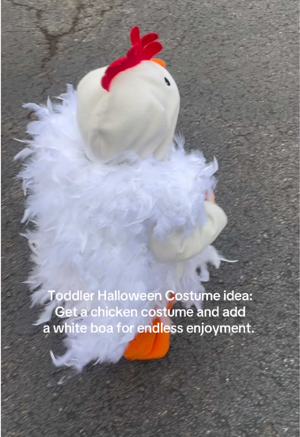 Halloween is just around the corner!! I love dressing my babies up in fun costumes!  #toddlercostumes #chickencostume #babycostume #trickortreat #halloween 