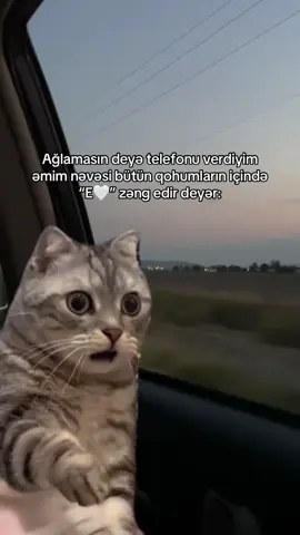 Mərhumu 3 dəfə qaldırın qoyun😔 #CapCut #keşfet #kesfet 