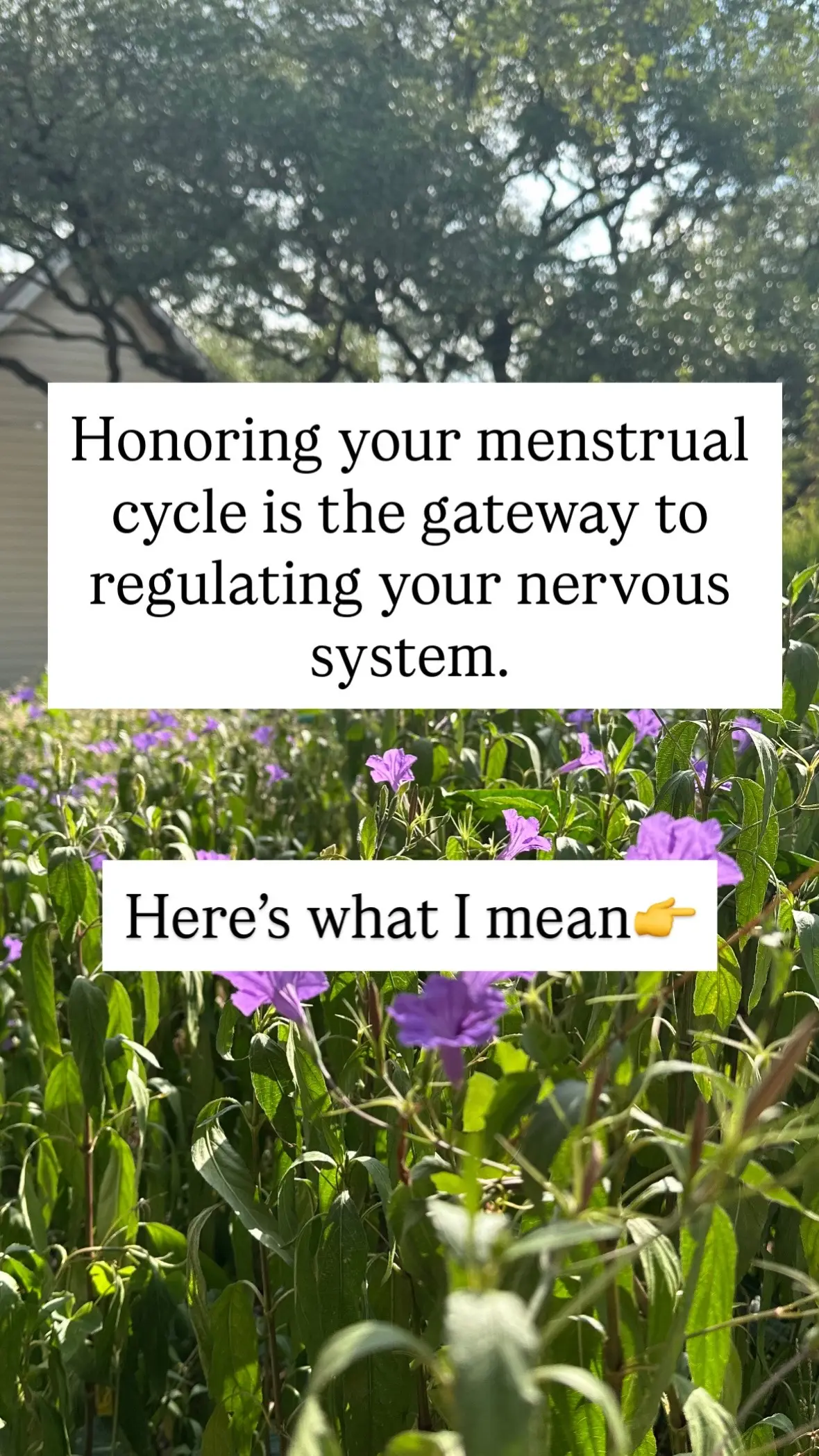 Female biology is the definition of resilience and I WISH more women knew how to honor this side of them that can unlock MASSIVE potential… Because when you start to do this and implement it your body feels SAFE It’s able to have what it needs. It feels seen and understood. And your nervous system can finally relax✨ It’s such a beautiful gateway to honoring your body and one I talk about regularly with my clients due to its incredible ability to bring results to the surface ♥️ Unfortunately, most women aren’t taught this and are left to believe the cycle and therefore their body, is a burden.  It’s not.  I’m here to help you take back your power by recognizing how incredible your body is and how to effectively honor it through nutrition, body wisdom and the nervous system 💫 You deserve it.  #nervoussystemhealth #menstrualhealth #femaleentrepreneur #fempreneur #hormonehealing