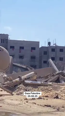 Breaking | Israeli airstrike on a residential building in the Sheikh Radwan neighborhood in northeast Gaza Palestine, as Israel continues to destroy residential structures across Gaza City. #foryoupage #fyp #fypppppppppppppp #foryou #foru 