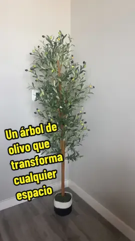Ideal para decorar el hogar con un toque elegante y natural. Perfecto para la sala, comedor o incluso en celebraciones y fiestas especiales. #DecoraciónDeCasa #ÁrbolDeOlivo #DecoraciónModerna #IdeasParaElHogar #TikTokCreatorPick