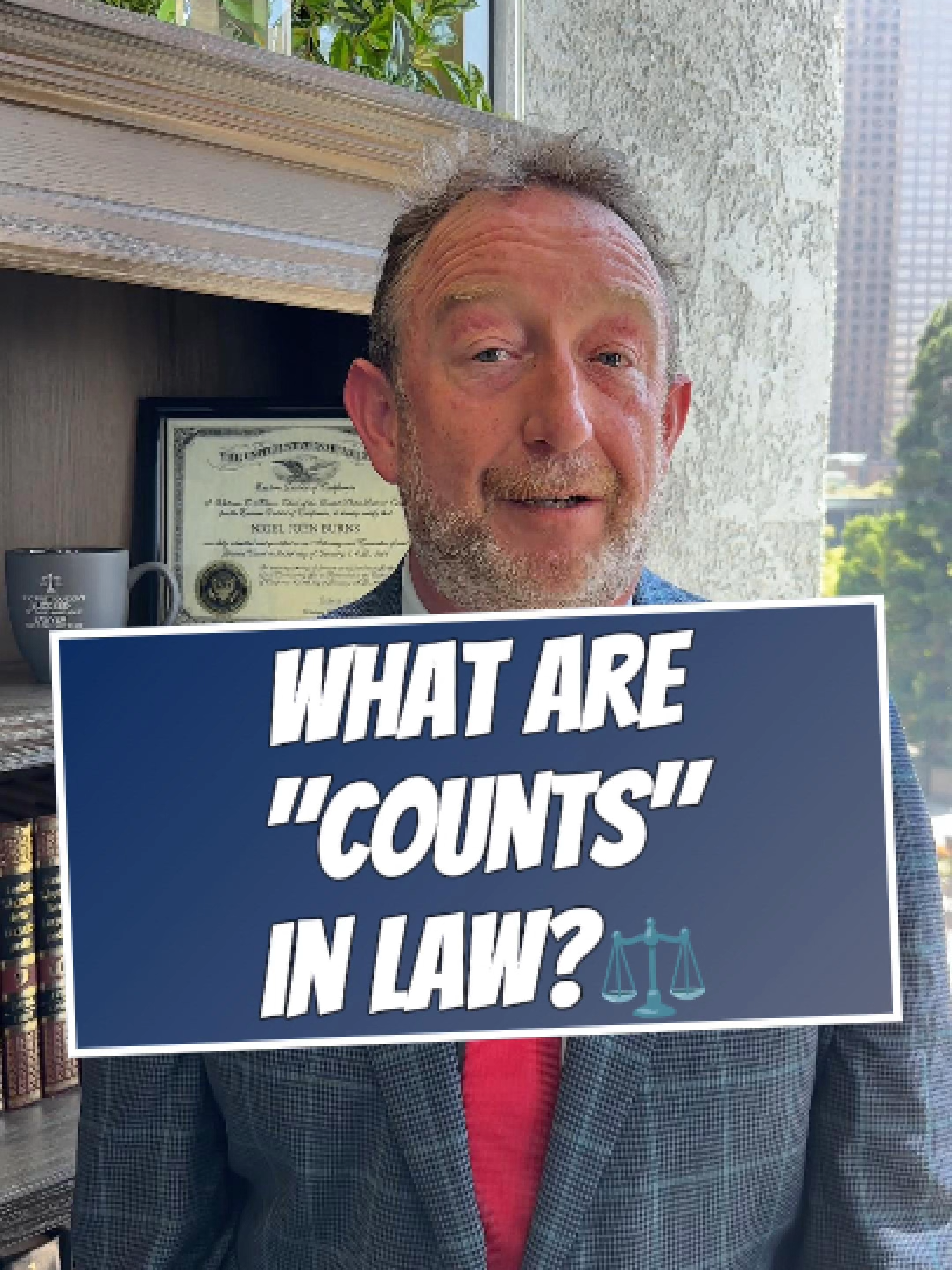 Counts in Law Explained ⚖️ In law, counts = charges. One count, one alleged violation. More counts, more problems. #legaltok #crime #lawyersoftiktok #explained