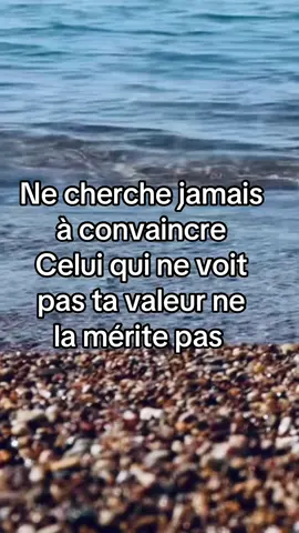 Ne cherche jamais à convaincre 