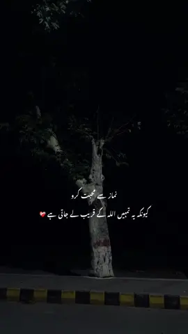 Beshak 🤍__’’ #yours_sheryyy #foryou #foryoupage #urdupoetry 