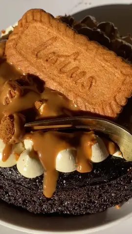 Chocolate Biscoff cake 🤎🍰 #caketok #chocolatecake #biscoff #bakingtiktok #desserts 