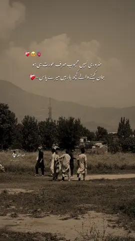 Ay Dost ❤️‍🩹 #btw_amw #dosti #hehe_amw 