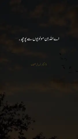 Molvi! 🤔🤐... #molvi #islam #explore #explorepage #trend 