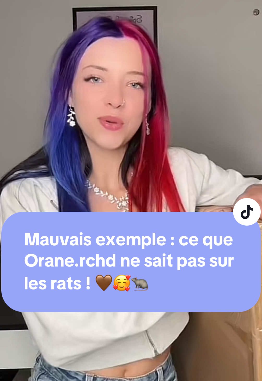 Aujourd’hui, je sors un peu de mon univers lapins 🐰 pour parler… des rats 🐀 !  Exceptionnellement, je voulais rétablir certaines vérités, car j’ai vu passer une vidéo où une personne a adopté des rats en animalerie, avec de mauvais conseils et une cage inadaptée ❌ Grâce aux précieux conseils d’une amie passionnée de rats, je vous partage les bases indispensables pour leur offrir une vraie vie épanouie.  Ces petits êtres méritent mieux que de fausses infos et de mauvaises pratiques ✨ @Orane 🫧  #rat #ratdomestique #adoptionresponsable #conseilsrats 