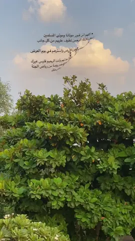#اللهم_صلي_على_نبينا_محمد 