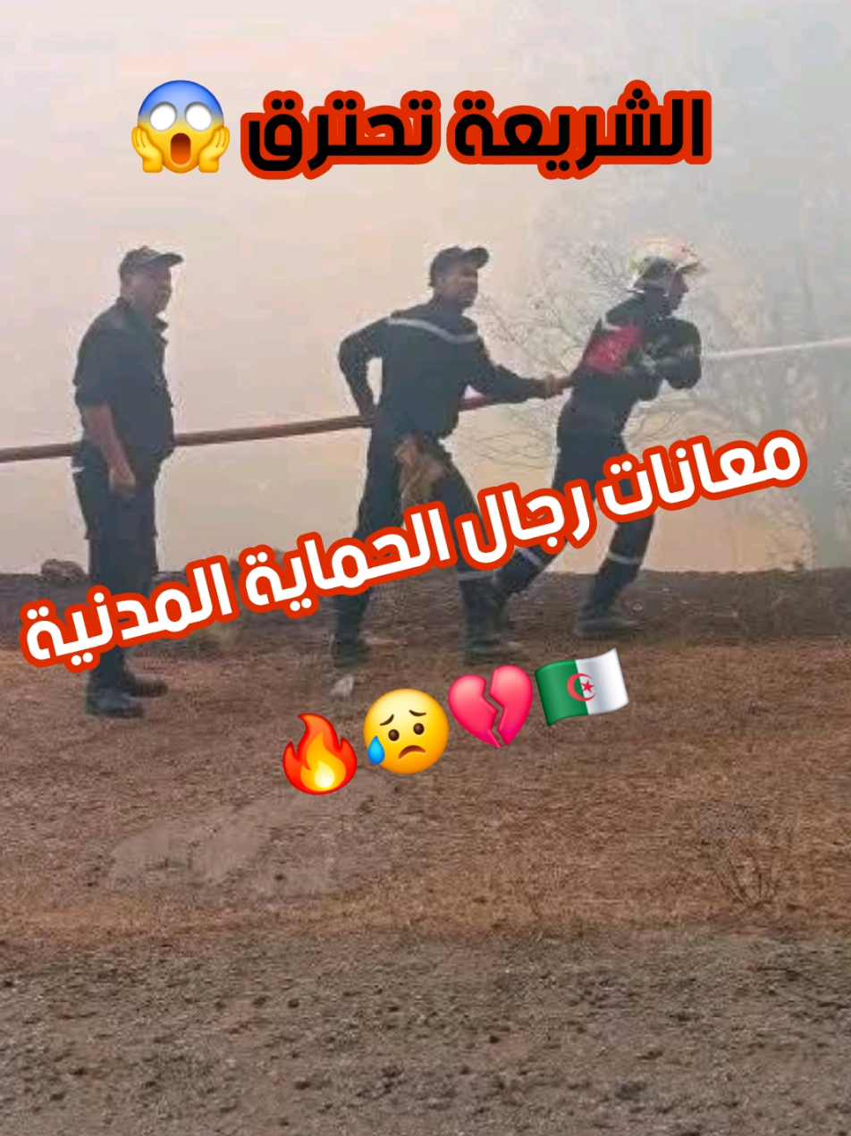 ⭕️ فيديو يوضح معاناة رجال الحماية المدنية اعانهم الله 🔥😥💔🇩🇿 . #البليدة #الشريعة #حرائق #algerie🇩🇿 #الجزائر 