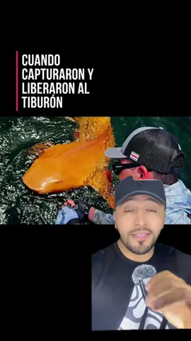 SCIENTISTS FIND WORLD'S FIRST ORANGE SHARK IN COSTA RICA
