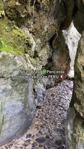 Hermoso Tio Yacu💚#tarapoto_perú🇵🇪💚🌴 