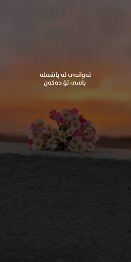 👌😇