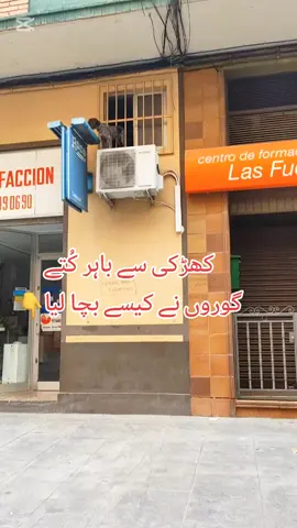 #duckybhai #viralvideo #foruyou #CapCut #pakistani_tik_tok 