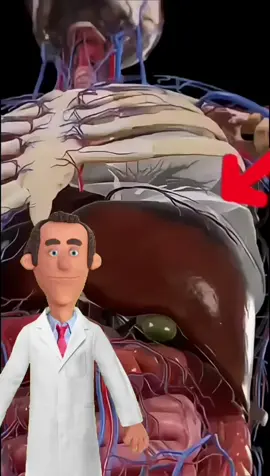 @Sr.Saude Nosso Corpo depois de Tomar uma Cerveja!#cerveja #saude #viral #fyou 