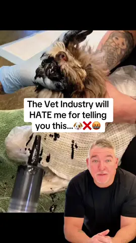 The vet industry doesn’t want you to know these things…🐶❤️‍🩹 • • • #doghealth #petremedies #pethealth #veterinarymedicine #usa🇺🇸 