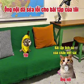 Khi ông tôi sửa lỗi cho tôi#meme #cat 