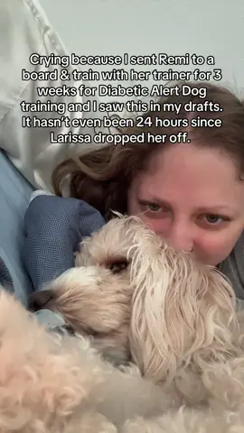 also we’ve been working for this trainer for MONTHS with private in-home sessions & we know she’s good with him🤞🏼 I’m just attached to my dog😭 #diabeticalertdog #T1D #DogTraining 