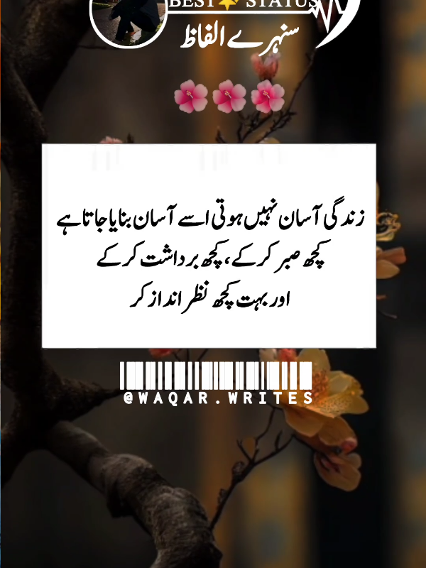 #creatorsearchinsights #foryou #foryoupage #unfrezzmyaccount #waqar1990 