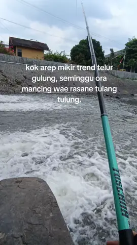 🤒#fyppppppppppppppppppppppp#microfishingindonesia#microfishingsidoarjo#damsumputsidoarjo