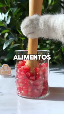 Estos son los 5 alimentos saludables de debes de comer si o si 😱 #alimentos #comidasaludable #consejosdesalud #nutrition #viral 