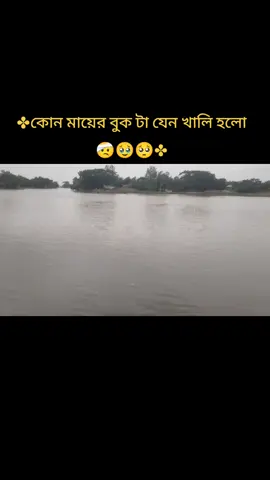 ❖Ƭʜᴇকোন মায়ের বুক টা যেন খালি হয়ে গেলো, ঢাকা থেকে এসে ছিলো বিয়ে খাওয়ার জন্য ময়মনসিং, তার বন্ধুর, এসে দেখালো নদী, নদীতে সাঁতার কাটতে গিয়ে ছিলো , তার চার পাঁচ জন বন্ধু, সবাই এসে গেলো , সে ডুব দিলো তার পর, আর বাশে না , পোলা টা ছিলো এক বাবা এক সন্তান,,, সবাই দোয়া করবেন যেন আল্লাহ তায়ালা ওকে জান্নাত দান করুন,,,, আমীন 🤕🥹🥺ヅ