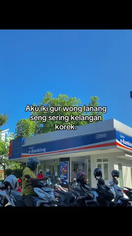 Aku i gur opo to...