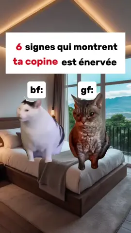 faites attention les mecs 😉👍#catanimation #catmeme #humour #copine #copain 