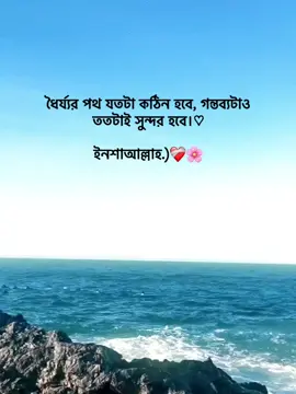 ধৈর্য্যের পথ যতটা কঠিন হবে, গন্তব্যটাও ততটাই সুন্দর হবে।♡ ইনশাআল্লাহ.)❤️‍🩹🌸 #foryoupage #foryou #fypage #goviral #tranding @TikTok Bangladesh 