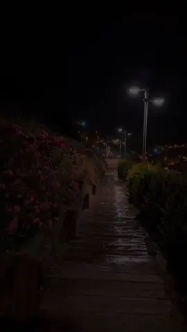 لمين ‏تهدي الفيديو 🥹🤍 #اغاني_بدون_موسيقى #سوريا #ليبيا #تصويري #تصميمي 