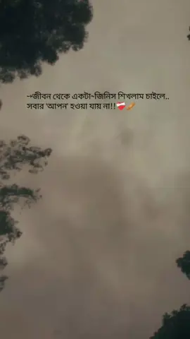 জীবন থেকে একটা জিনিস শিখলাম চাইলে  সবার আপন হওয়া যায় না!!❤️‍🩹🩹#sadvideo #video #virall #100kviews #foryou #forpage #bdtiktokofficial #bangladesh🇧🇩 