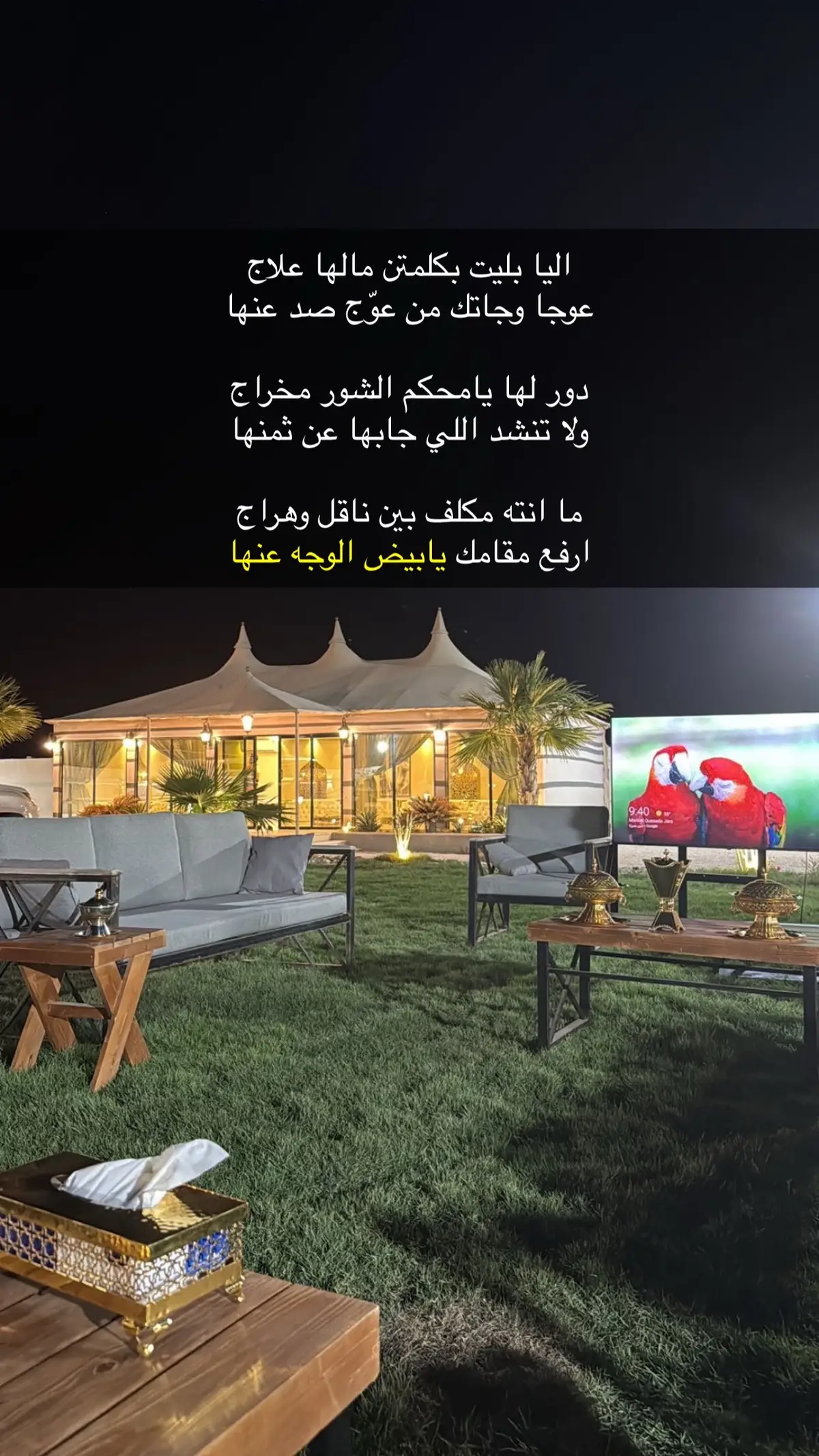 #قصائد_شعر_خواطر_غزل_مجرد_ذوق 