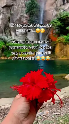 #humor #contenido tengo 3 #😅🤣🤣 