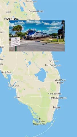 Can you believe that for just $33 you can experience one of the most unique short rail journeys in the US from Miami to Orlando? 