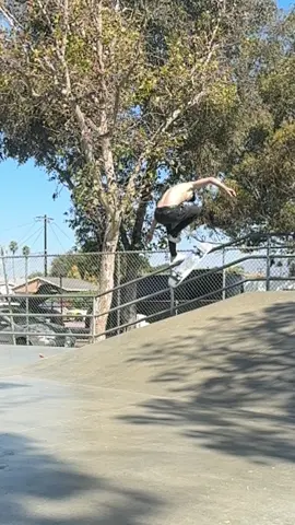 Tre flip