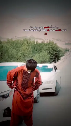 ﮼هر‌قامت‌بلندی‌درخت‌نمیشود‌ 👋🏿 . . . . . . . . . . . . . . . . .  #explore #explorepage #pic #picture #pictureoftheday                    