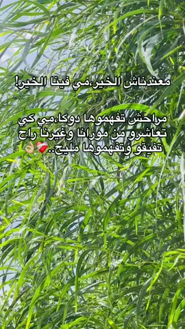 #تصيمم_فيديوهات🎶🎤🎬 #دير_جام_في_خاطر_هاذ_الفيديو❤✨ #100k #الحمدالله_دائماً_وابدا #algerian🇩🇿 