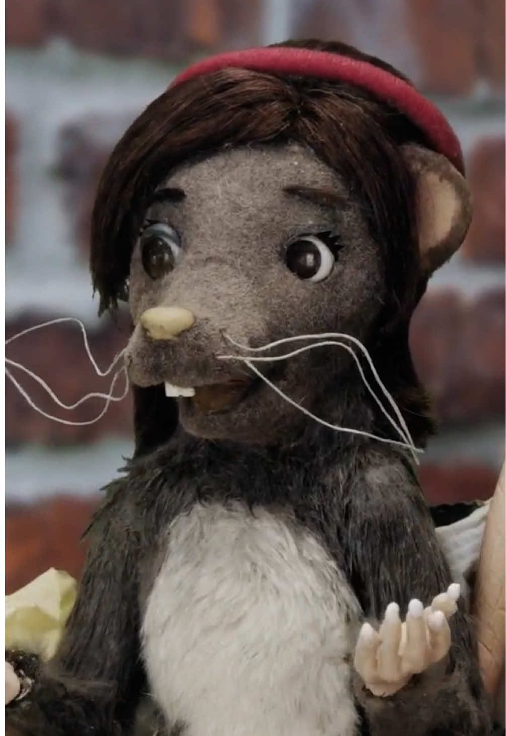 Wait, are squirrels also disgusting? Portlandia streams free on CBC Gem.  #sketch #wildlife