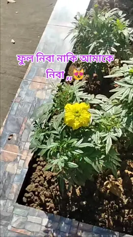উত্তর টা দিয়ে যাও😊😘💔#foryou #foryoupage #vairalvideo #fffyyyppppppppppppppppppppppppppppppp #@TikTok 