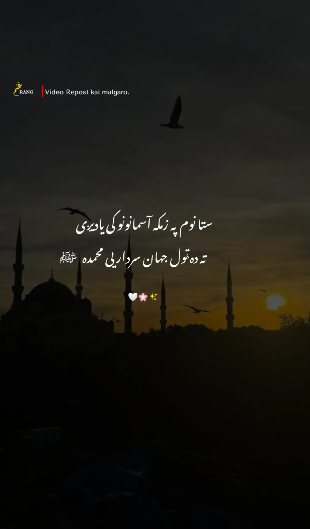 Ta da tol Jahan sardar ye muhammada ﷺ .Repost Malgaro. #foryou #fyp #pashtopoetry #pashtoshayari #100k 