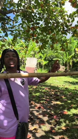 Ex mouin oui #🤣🤣🤣🤣🤣🤣🤣🤣 #Haïti🇭🇹🇭🇹🇭🇹🇭🇹🇭🇹 #