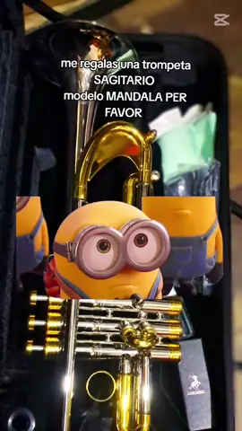 #Meme #MemeCut #CapCut envíos a nivel nacional #INSTRUMENTOS #VIRALTIKTOK 