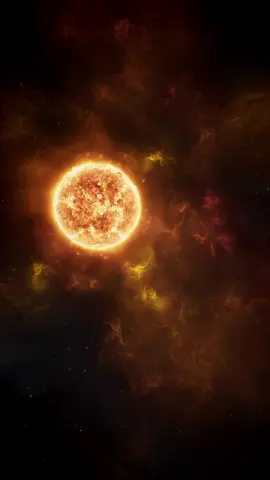 Où en est le Soleil dans sa vie ? Est-il à la moitié ? Est-il plus proche de la fin ? Voici un graphique qui retrace la vie d’une étoile selon sa luminosité et sa température. Notre Soleil se trouve actuellement ici, là où les étoiles passent la plus grande partie de leur existence. Quand des étoiles comme la nôtre vieillissent, elles commencent à manquer d’hydrogène, ce qui fait rétrécir leur cœur. Cette compression crée alors chaleur et pression, qui repoussent les couches externes et transforment l’étoile en une géante rouge. Ce qui arrivera à notre Soleil dans environ 5 milliards d’années. Il deviendra si énorme qu’il engloutira Mercure et Vénus, et peut-être même la Terre. Puis, environ un milliard d’années plus tard, il aura consommé tout son carburant et s’effondrera en naine blanche, continuant de refroidir sur des milliards d’années. On pense que le Soleil s’est formé il y a 4,6 milliards d’années. Il est donc à peu près à la moitié de son chemin avant de devenir une géante rouge. #soleil #espace #univers #galaxie #cosmos   
