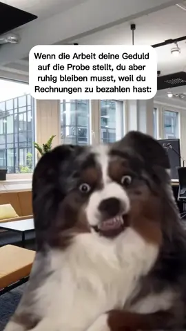 😅😂