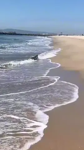@ফিরে🇸🇦 এসো 🇸🇦ইসলামে🇸🇦 @🇧🇩জুয়েল বদ্দা  🎤 