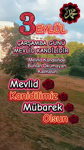 #3 EYLÜL ÇARŞAMBA GÜNÜ MEVLİD KANDİLİNDE... bu zikirleri çekmeyen kalmasın. 1 kere: Sübhânellâhi ve bihamidihî Sübhânellâhil'azîm 1 kere: Allahümme salli ala seyyidina Muhammed. 10: kere İhlas Suresi.