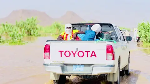 #timaiwen 